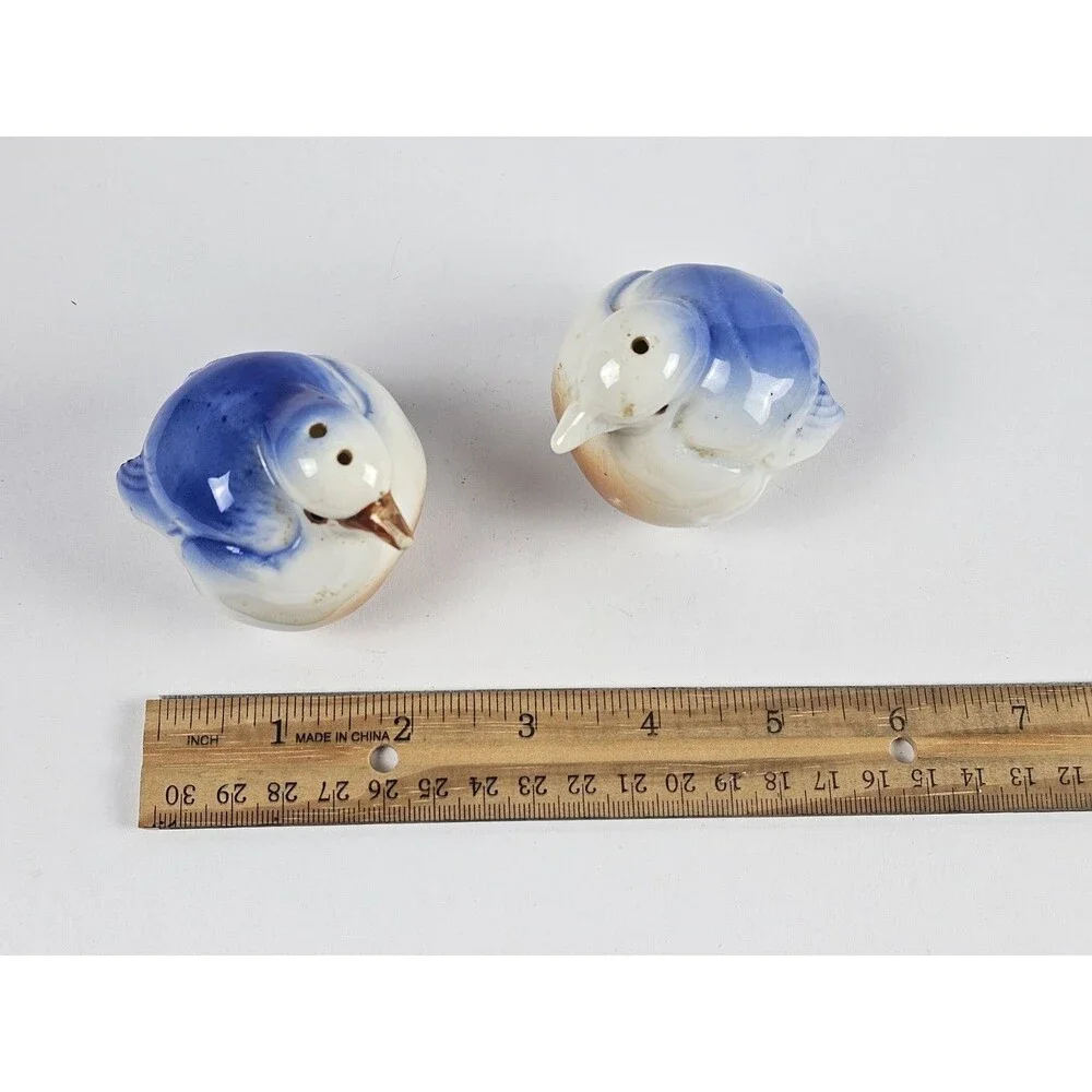 Porcelain Chubby Blue Birds Salt and Pepper Shakers